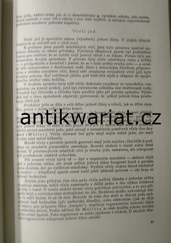 1wa Image00065