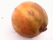 How to loss weight in marathi language image 10