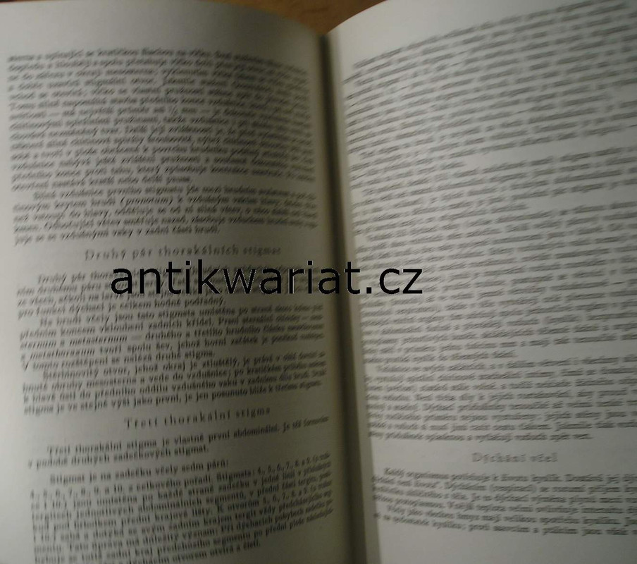 1wa Image00027