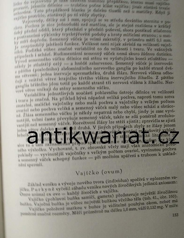 1wa Image00039