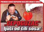 Slika