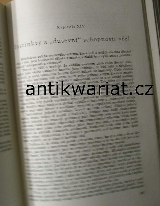 1wa Image00023