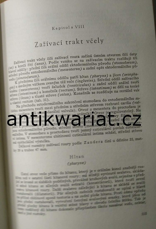 1wa Image00060