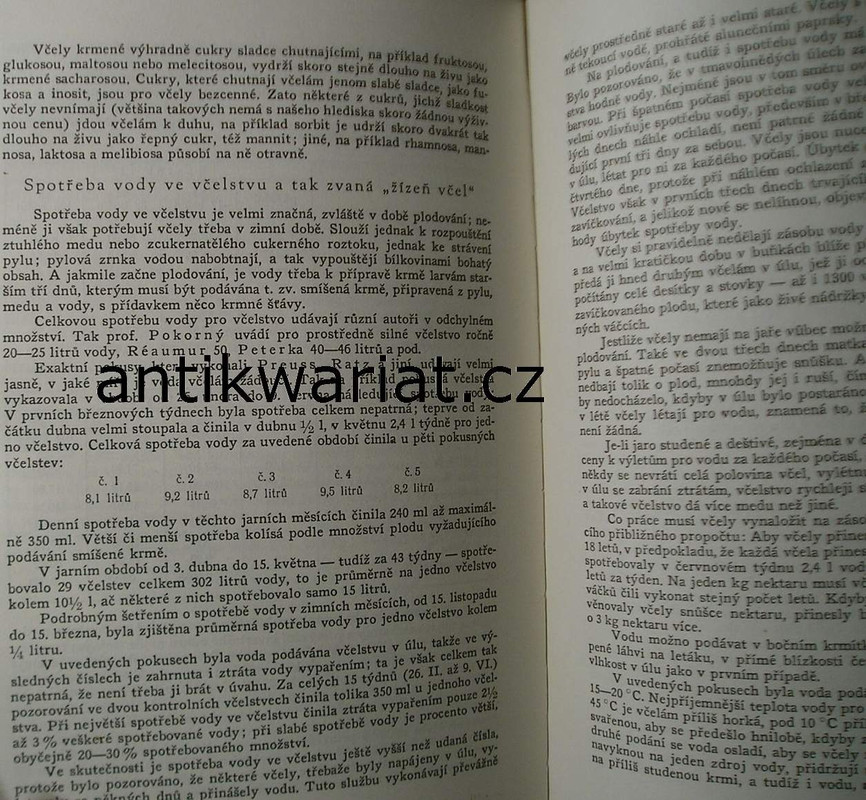 1wa Image00045