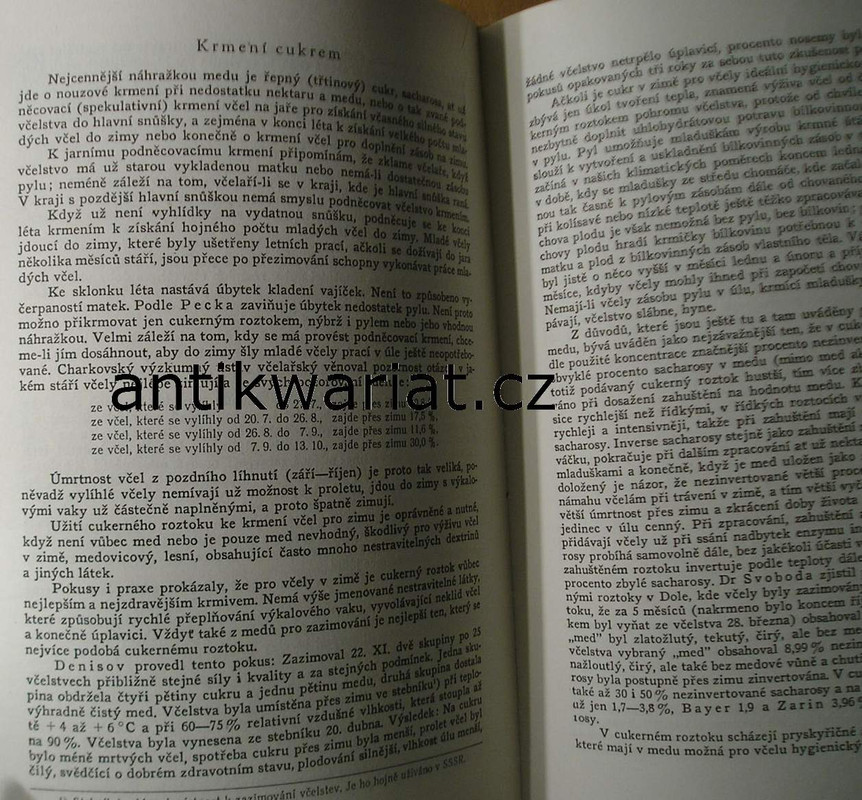 1wa Image00047