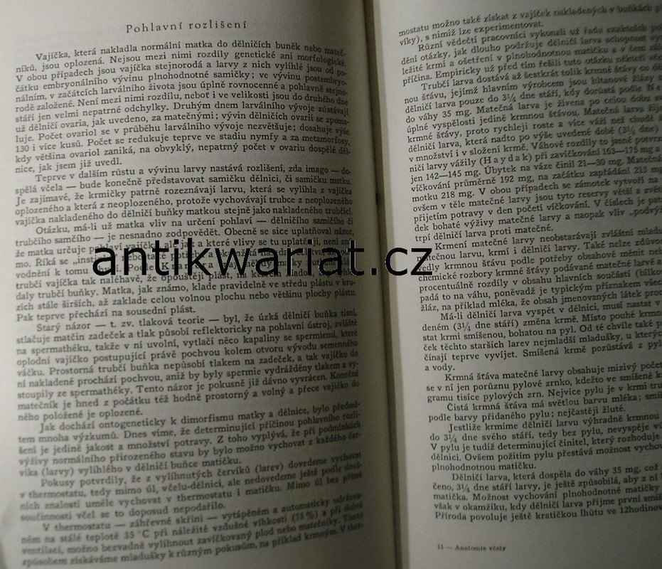 1wa Image00038