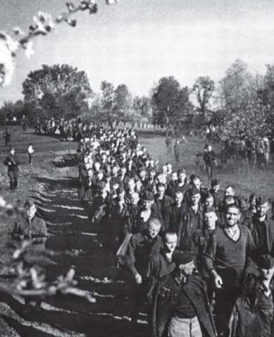 Prisioneros alemanes del 6º Ejército de Paulus capturados durante los primeros días de la ofensiva soviética