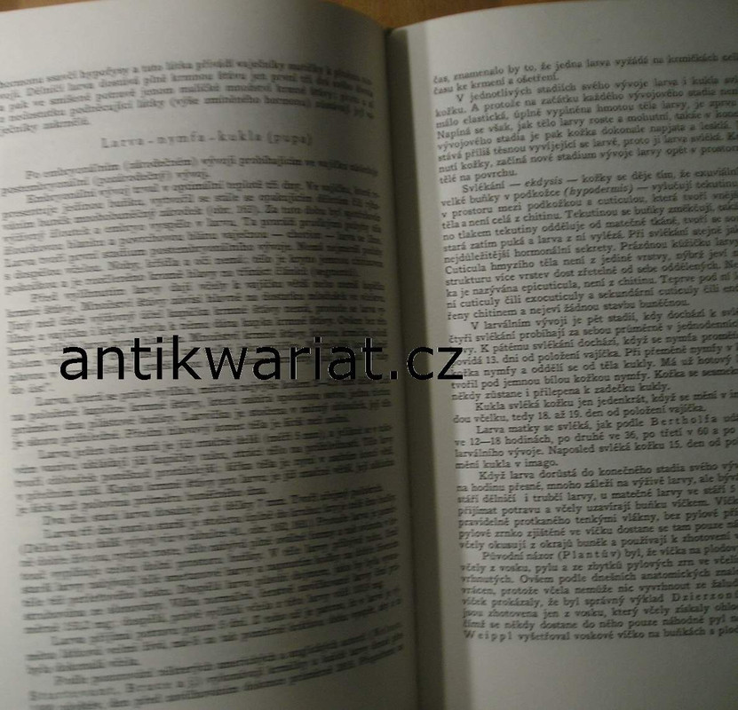 1wa Image00037