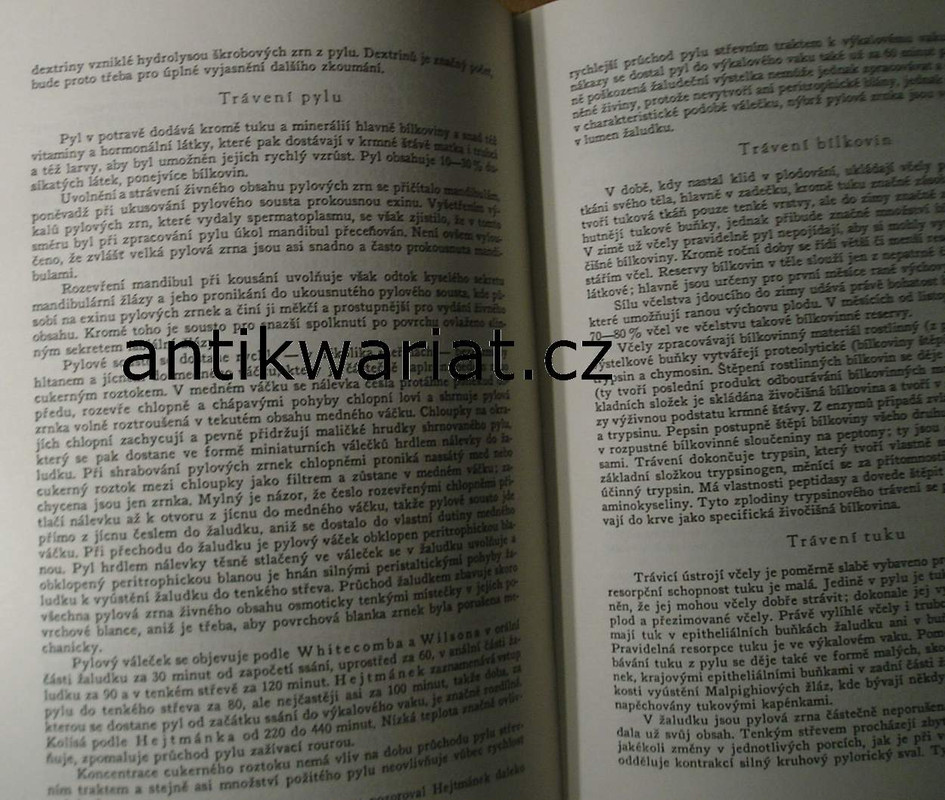 1wa Image00050