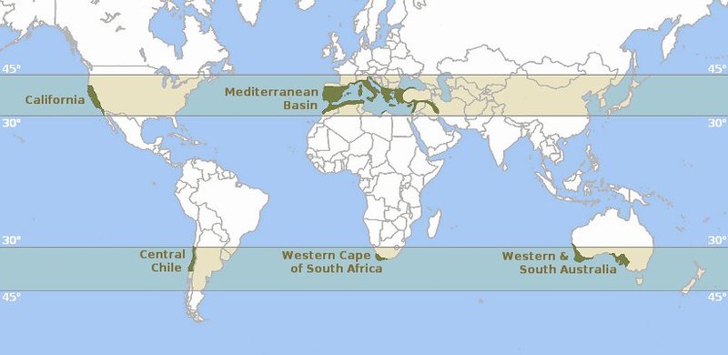 mediterranean climate world map