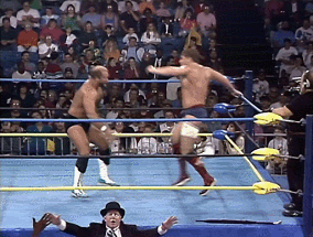 Arn_Anderson_spinebuster.gif