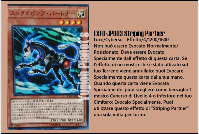 EXFO-_JP003