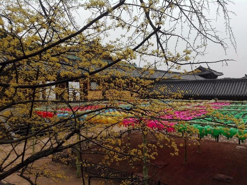 Mochileros en Corea del Sur - Blogs de Corea Sur - Gyeongju- Templo Bulguksa, grutas de Seokguram y el pequeño templo Bunhwangsa (11)
