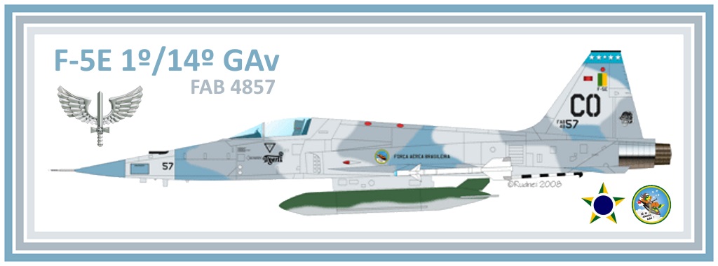 Armas Nacionais: Northrop F-5E Tiger II Agressores