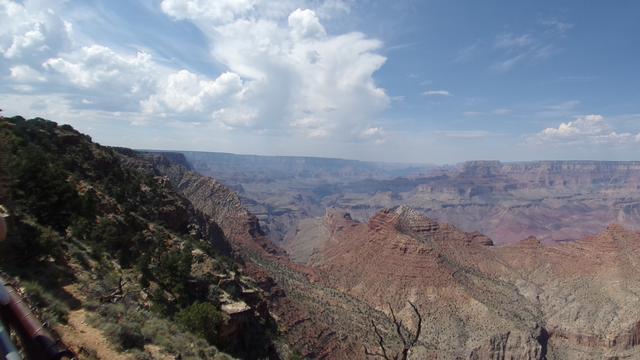 Grand Canyon y hasta Williams - Por el Oeste de EE.UU (13)