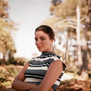 Joan_Collins_e81