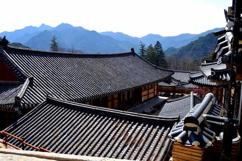 Mochileros en Corea del Sur - Blogs de Corea Sur - Daegu: Templo Haeinsa, mercado Seomun, el Museo Medicina Oriental... (15)