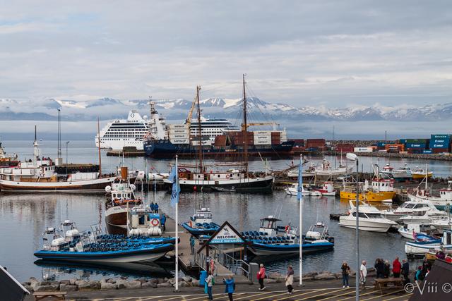 DIA 6. Husavik – Godafoss – Akureyri – Kolugljúfur – Hvammstangi - Islandia - Tierra de hielo y fuego (1)