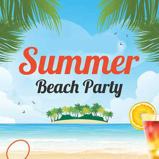 Summer Beach Party 2017 (2017)  mp3 320 kbps