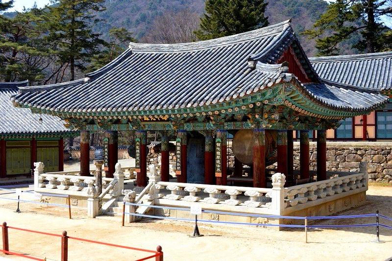 Mochileros en Corea del Sur - Blogs de Corea Sur - Daegu: Templo Haeinsa, mercado Seomun, el Museo Medicina Oriental... (16)