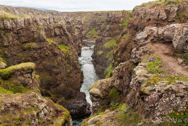 DIA 6. Husavik – Godafoss – Akureyri – Kolugljúfur – Hvammstangi - Islandia - Tierra de hielo y fuego (12)