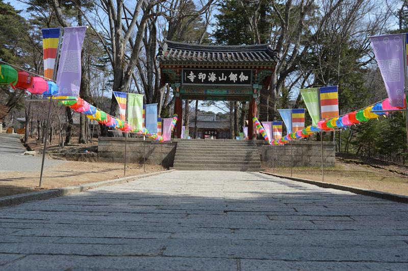 Mochileros en Corea del Sur - Blogs de Corea Sur - Daegu: Templo Haeinsa, mercado Seomun, el Museo Medicina Oriental... (11)