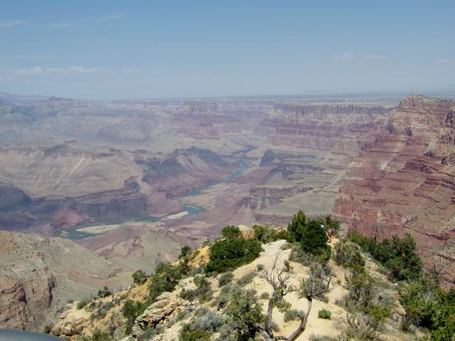 Grand Canyon y hasta Williams - Por el Oeste de EE.UU (11)