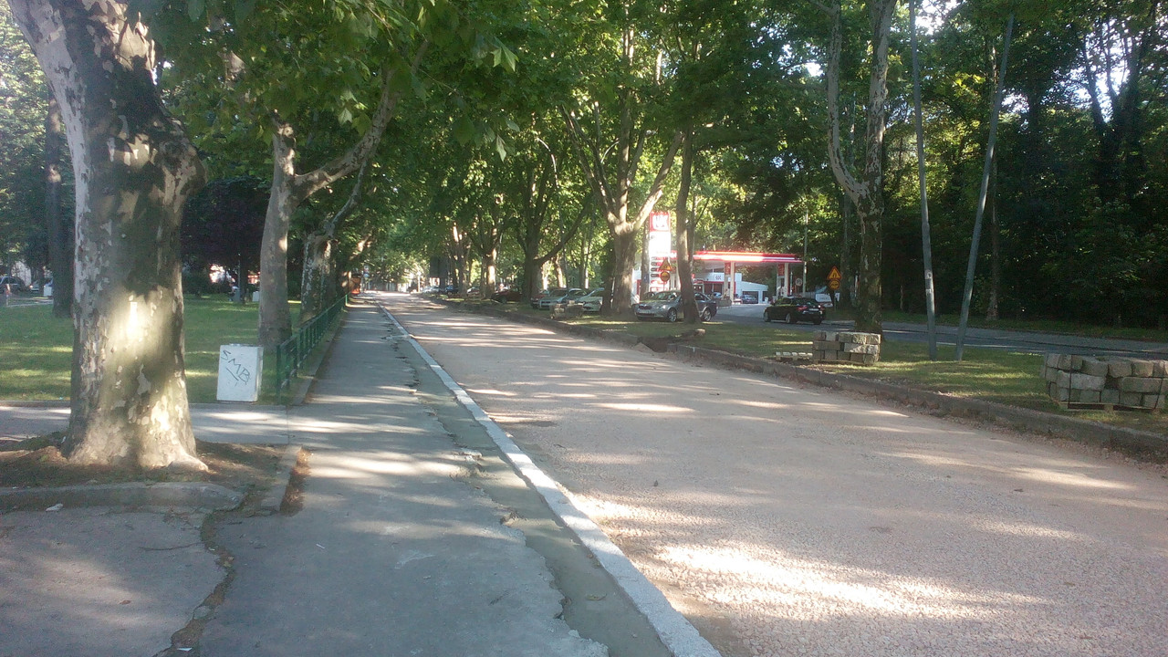 Slika