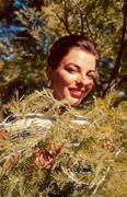Joan_Collins_e82