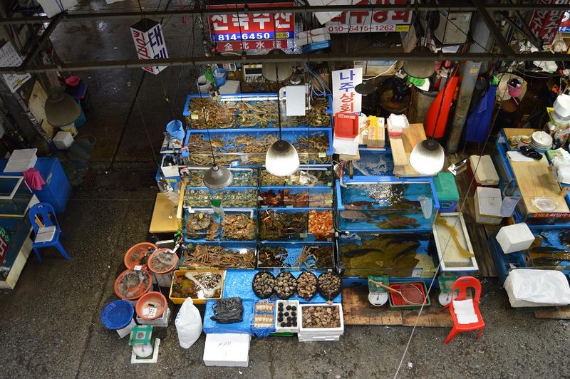 Seúl-Noryangjin Fishery Market,Templo Bongeunsa,ciudad Olímpica, Lotte World... - Mochileros en Corea del Sur (4)
