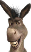 donkey-shrek-7664-2560x1600_2.jpg