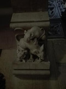 Siete días en Cantabria - Blogs de España - Cueva El Soplao, S. Vicente, Comillas (18)