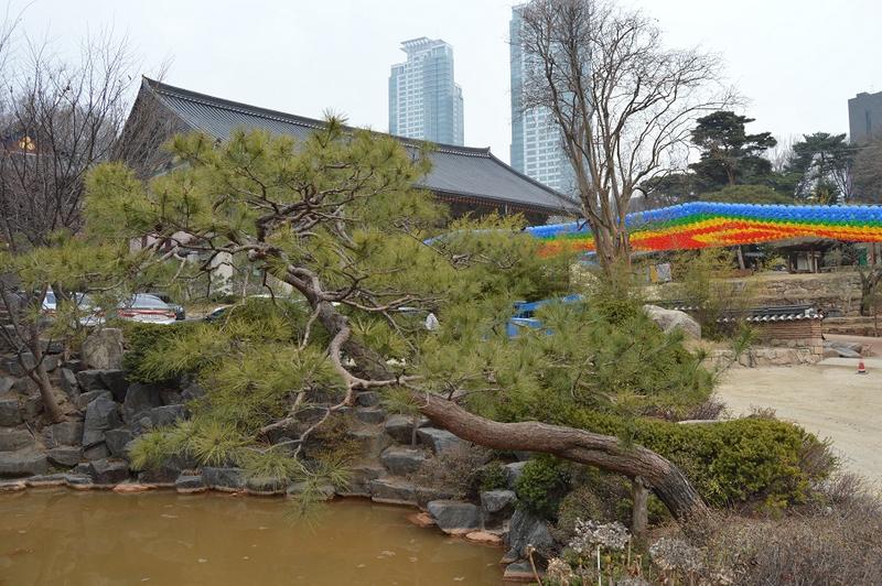 Seúl-Noryangjin Fishery Market,Templo Bongeunsa,ciudad Olímpica, Lotte World... - Mochileros en Corea del Sur (6)