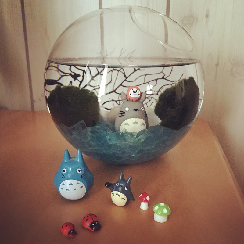 Together, these elements make the cutest little marimo terrarium!