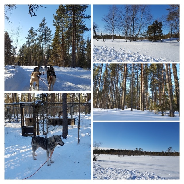 Un cuento de invierno: 10 días en Helsinki, Tallín y Laponia, marzo 2017 - Blogs de Finlandia - Levi, paisajes para una postal (20)