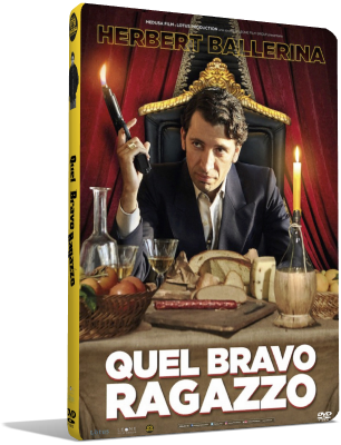 Quel Bravo Ragazzo (2016) DVD9 COPIA 1:1 ITA